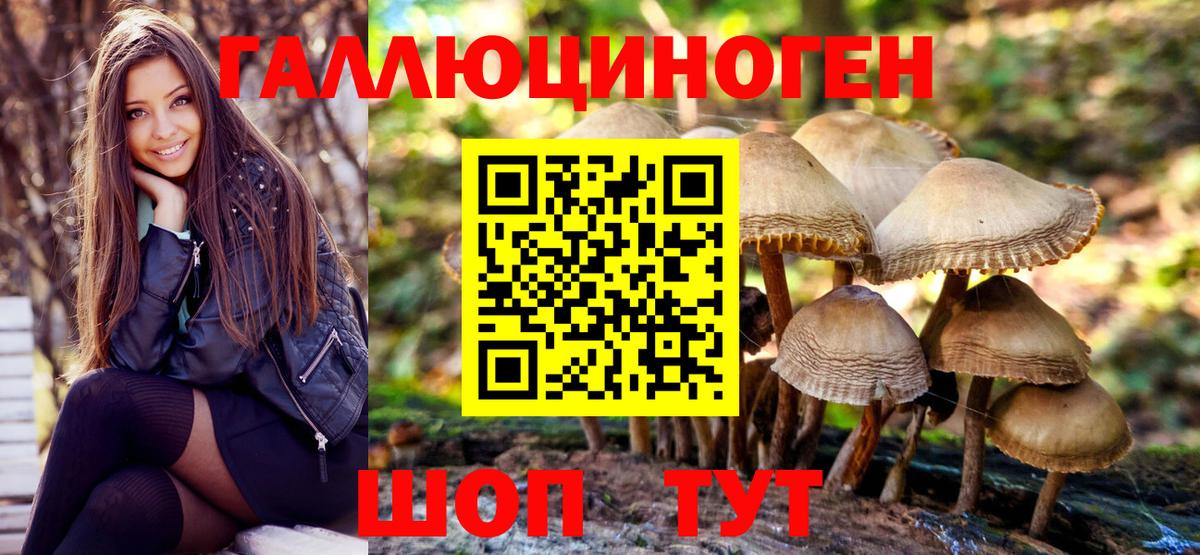 Галлюциногенные грибы мухоморы Осинники
